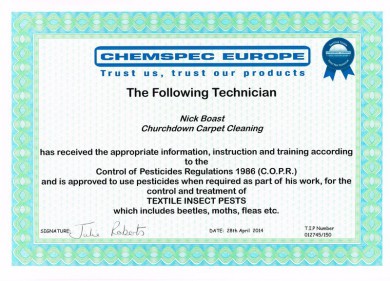Pesticide treatment to rid flea infestations Cheltenham Gloucester Tewkesbury Stroud